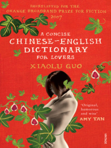 a-concise-chinese-english-dictionary-for-lovers