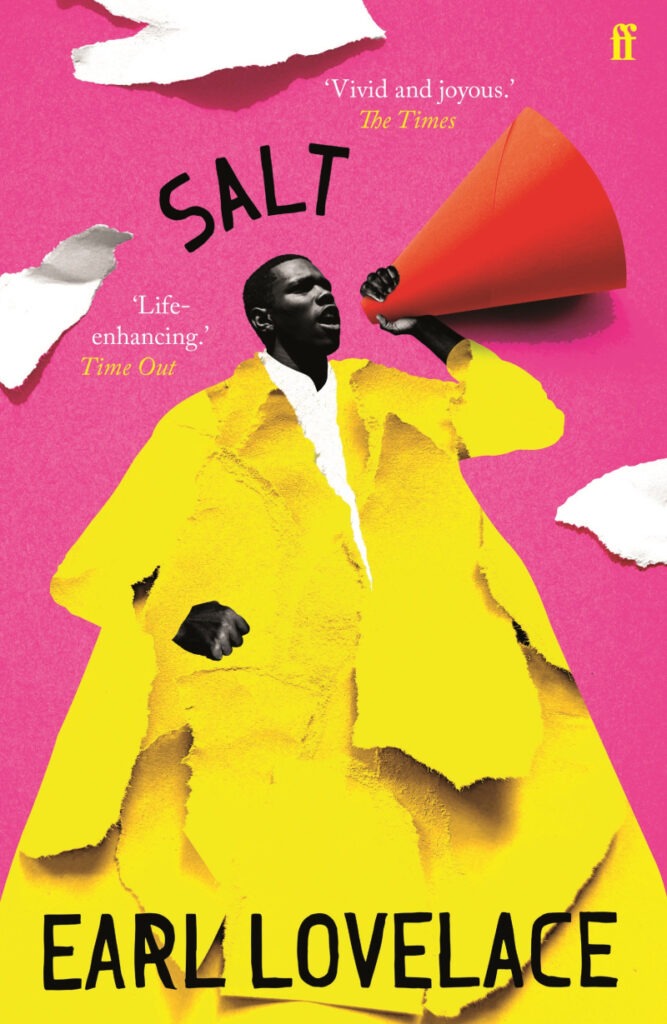cover art for Salt