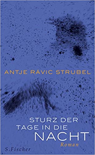 antje ravic strubel, sturz der tage in die nacht